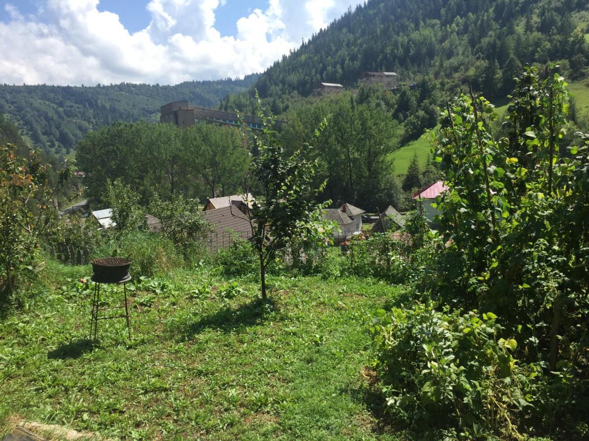 Acasa In Bicaz-Chei - Camere De Inchiriat Cheile Bicazului Buitenkant foto