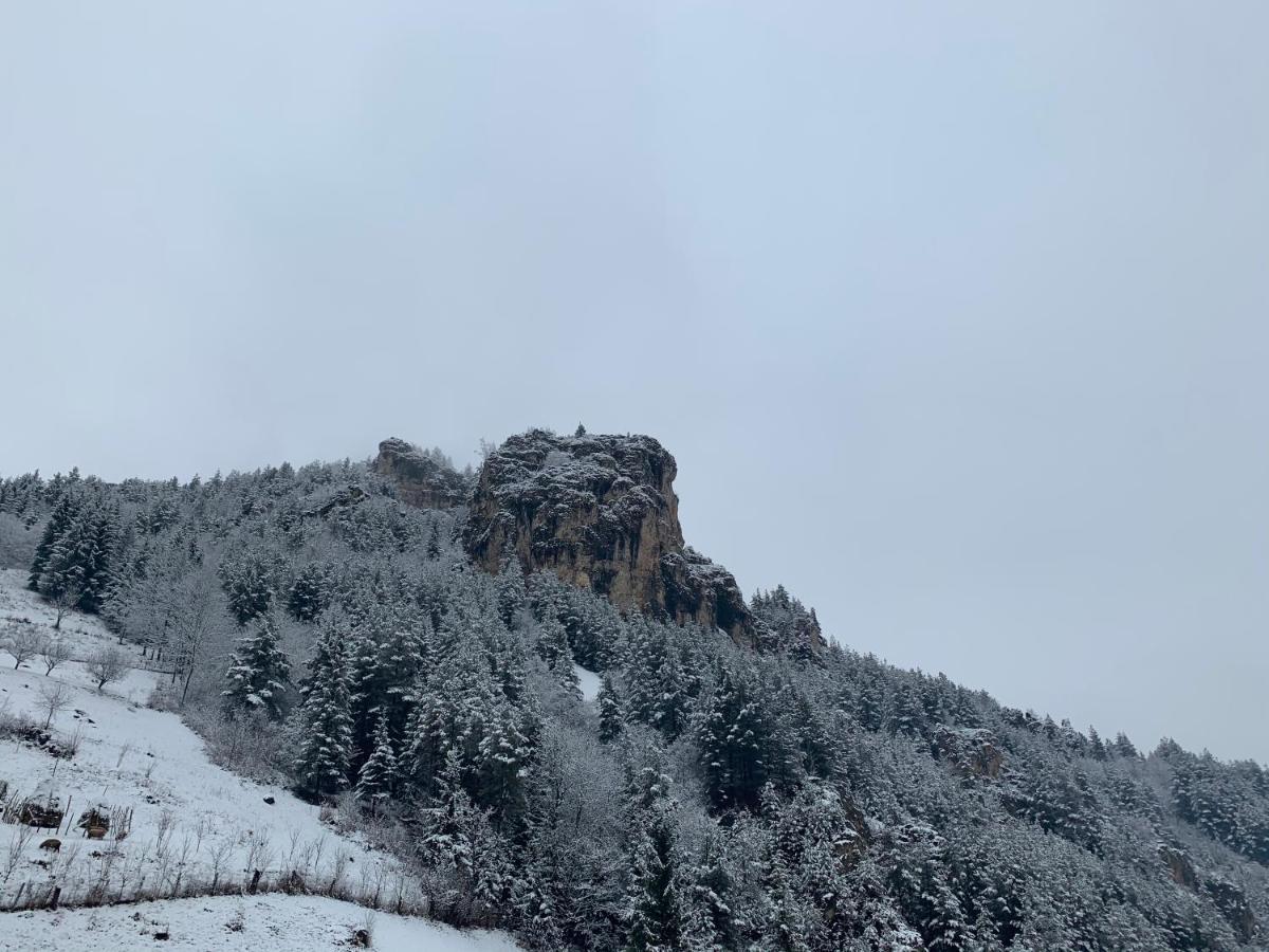 Acasa In Bicaz-Chei - Camere De Inchiriat Cheile Bicazului Buitenkant foto