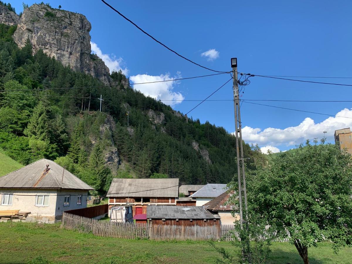 Acasa In Bicaz-Chei - Camere De Inchiriat Cheile Bicazului Buitenkant foto